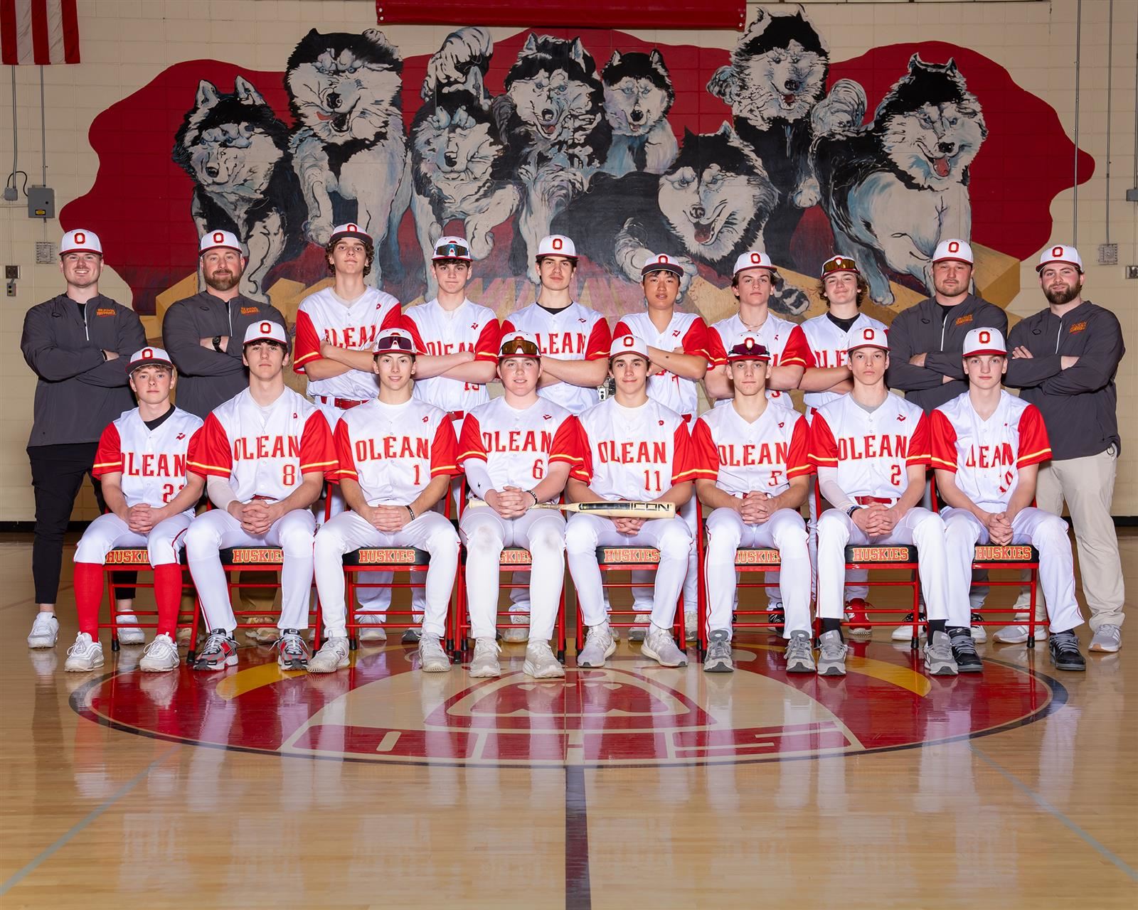 Varsity Baseball Team Photo